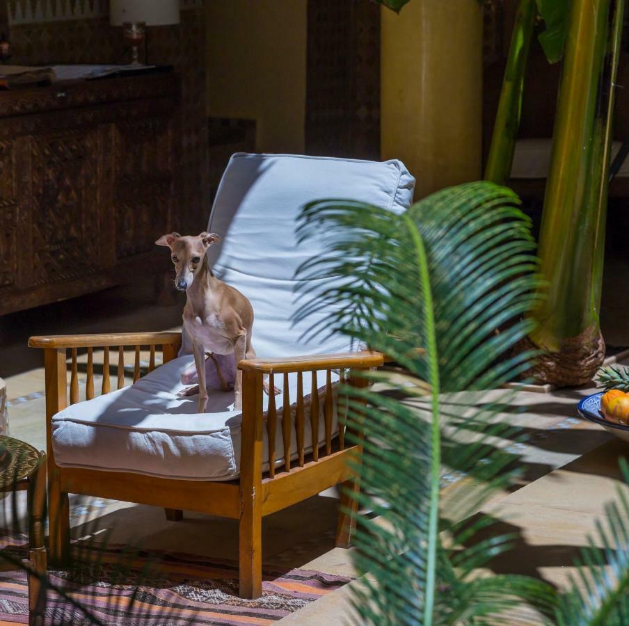 Riad Azoulay Marrakesh Exterior photo